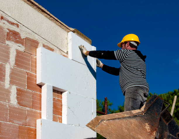Best Eco-Friendly Insulation in Rose Hill, VA