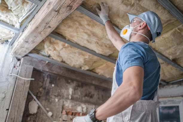 Best Residential Insulation in Rose Hill, VA