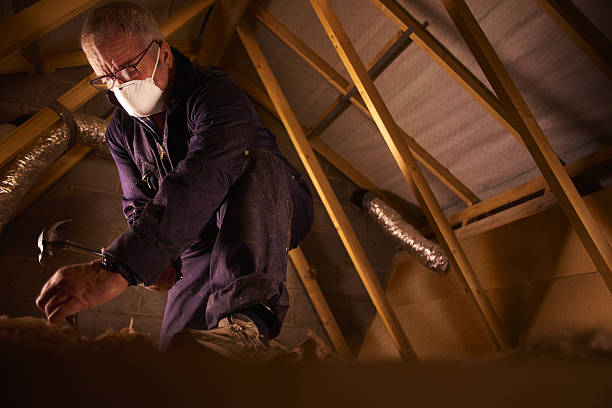 Types of Insulation We Offer in Rose Hill, VA
