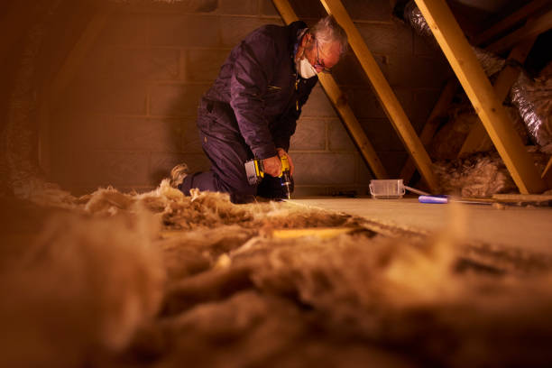 Best Commercial Insulation in Rose Hill, VA